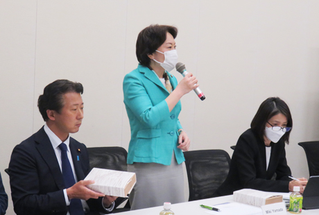 日米政策研究専門家会合